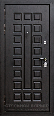 Дверь с фотопечатью №17